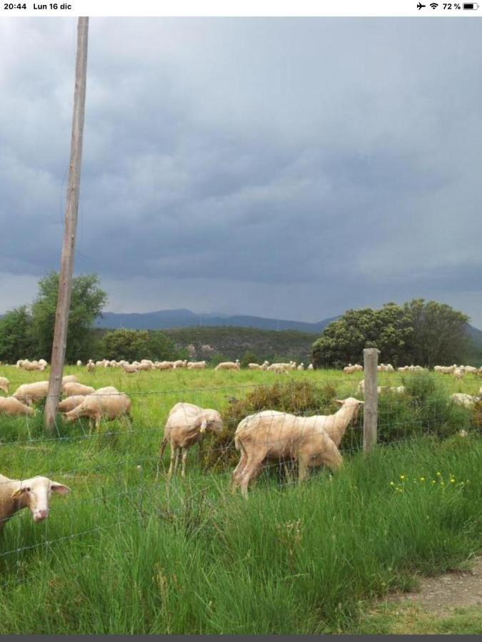 شقة Preciosas Vistas A La Montana, Luminoso Y Acogedor El Pueyo de Araguás المظهر الخارجي الصورة